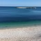 Alga tossica, cala l’allarme sul litorale: migliorano Bisceglie e Molfetta