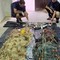 Attività di pesca illegale: a Bisceglie sanzione di 2.000 euro e ritiro di 10kg di prodotto ittico