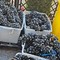 A Bitonto sequestrati 320 chili di cozze