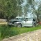 Incidente fra due auto sulla Molfetta-Terlizzi, una finisce contro un albero: due feriti