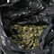Scoperto a Cerignola un bunker per la produzione di marijuana: 5 arresti