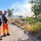 Incendi, per la Puglia un danno incalcolabile all'ecosistema