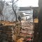 Incendio presso il Ranch Natalino di Bitritto: intervenuti i Vigili del Fuoco