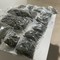 Spaccio a Barletta: arrestato un 24enne. La Polizia sequestra 4 kg di marijuana