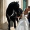 La sposa a cavallo di Casamassima: lo scatto iconico impazza sul web