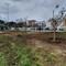 Andria ammessa a finanziamento: assegnati 10mila euro per il verde pubblico