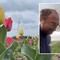 «I tulipani non ci sono più», la grandine distrugge il campo a Foggia