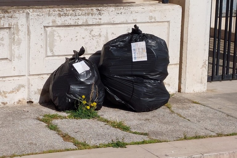Rifiuti