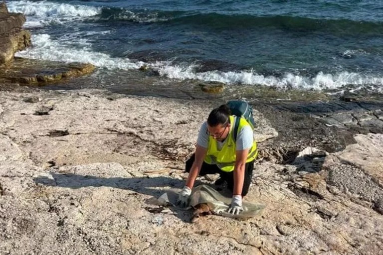 Cane si perde e finisce in mare
