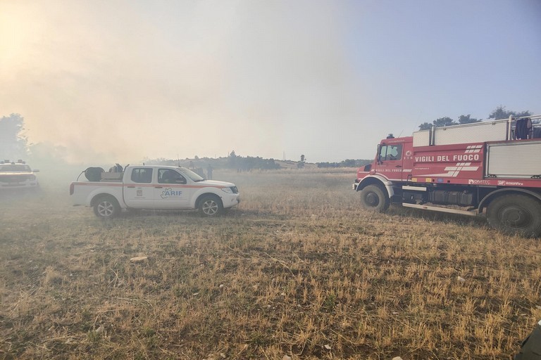 Oltre 800 ettari in fumo sulla Murgia minervinese