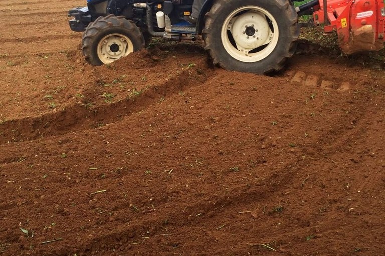 Un'azienda agricola di Palo del Colle razziata