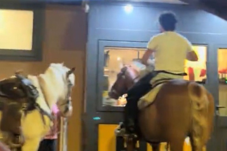 Dal McDrive al McRide è un attimo»: arrivano a cavallo al McDonald's di Barletta