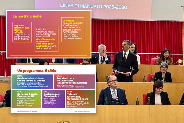 Linee mandato Decaro