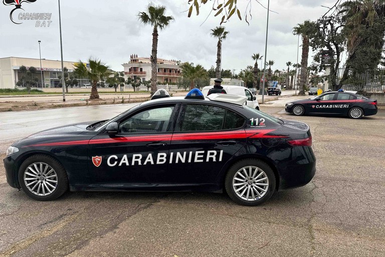 Carabinieri BAT