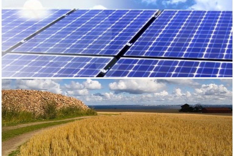 La Corte Costituzionale ferma l'installazione degli impianti fotovoltaici sul suolo agricolo