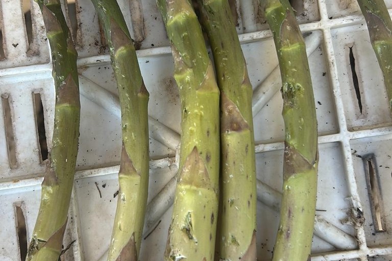 Danni in Puglia per la gradinata killer