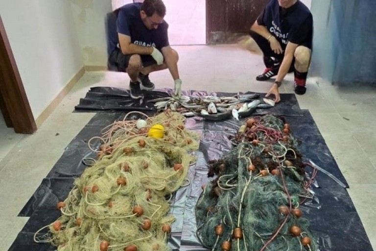 Attività di pesca illegale