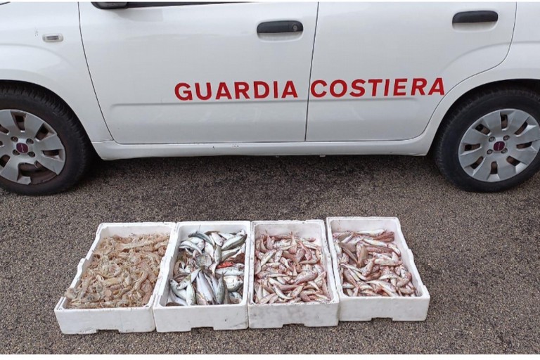 Guardia Costiera contro i prodotti ittici illegali con l’operazione "Ottobre 2024"