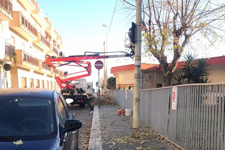 Una ordinanza per potature