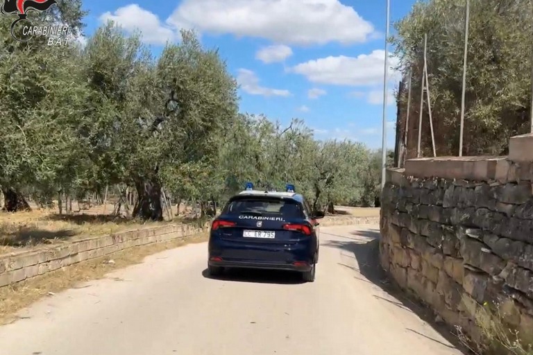 Carabinieri