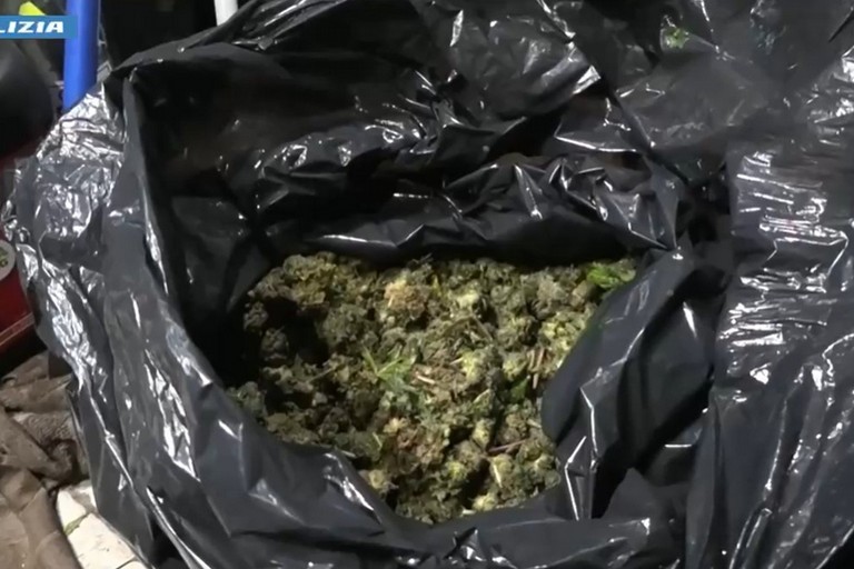 Scoperto a Cerignola un bunker per la produzione di marijuana