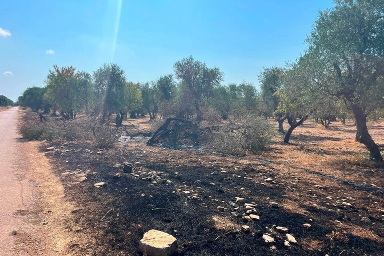 Incendi nelle campagne