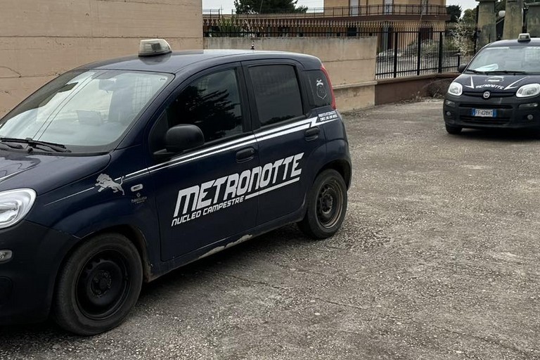 Metronotte