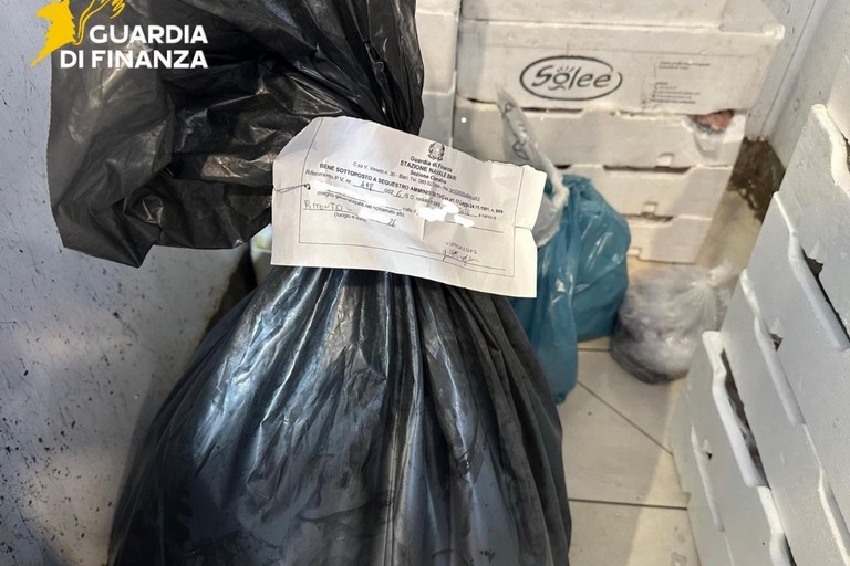 Sanzionata una pescheria di Bitonto