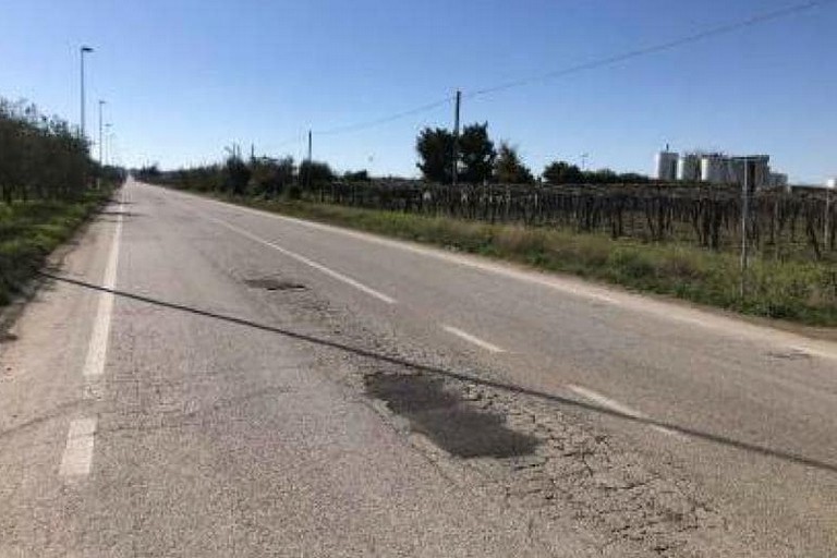 Strada tra San Ferdinando e Trinitapoli