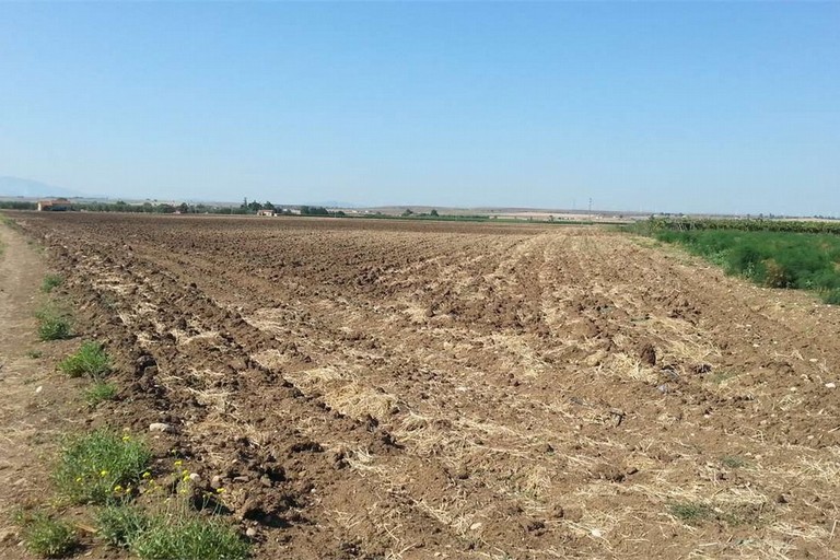 Terreno agricolo
