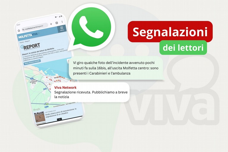 Viva Network lancia il numero WhatsApp per le segnalazioni dei lettori