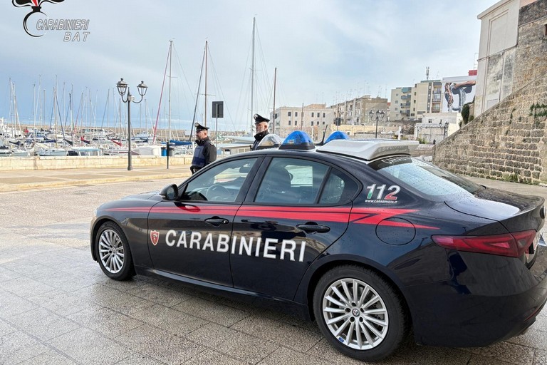 Carabinieri BAT