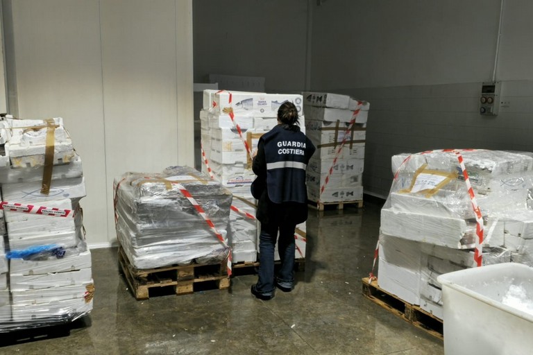 Sequestrati 5 quintali di prodotti ittici irregolari nella BAT