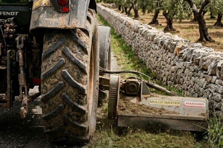 Interventi di pulizia per contrastare il vettore della Xylella