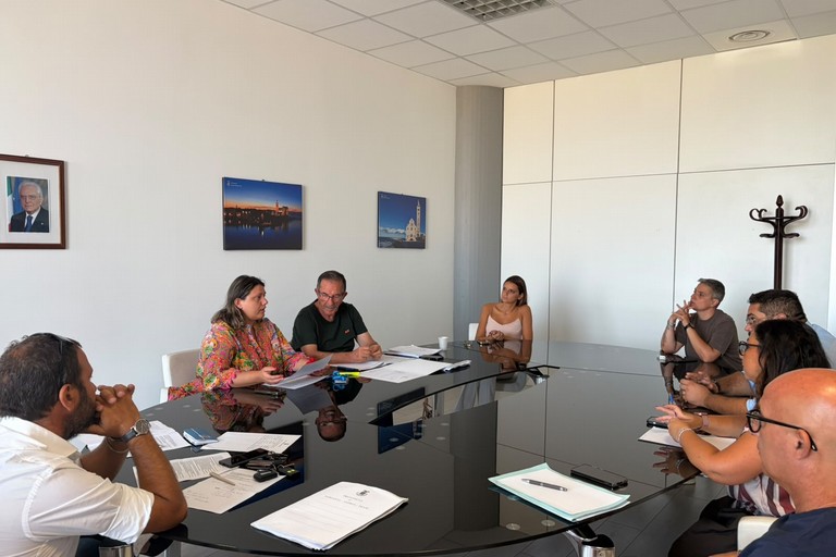 Provincia Bat