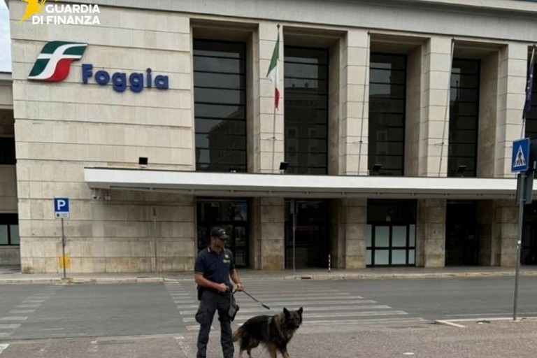 Unità cinofile Guardia di Finanza
